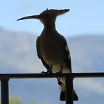 Séjour à la campagne Quinta De Seves Covilhã
