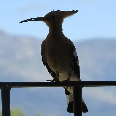 Gospodarstwo wiejskie Quinta De Seves Covilhã