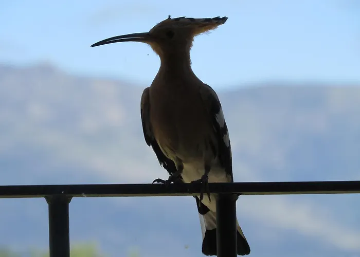Casa di campagna Quinta De Seves Covilhã